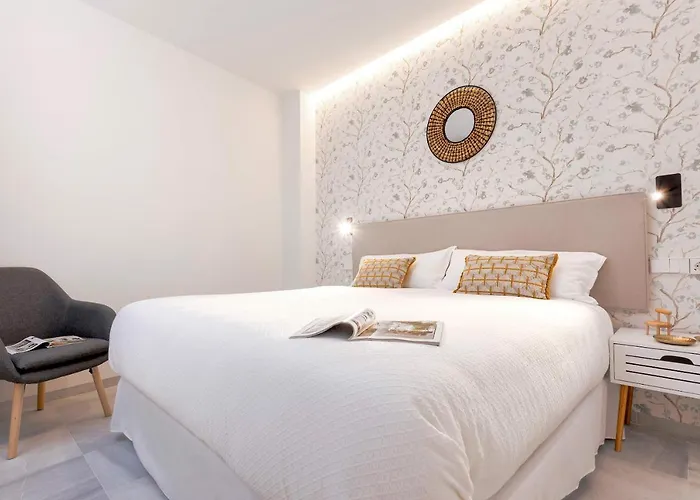 Genteel Catedral Cádis